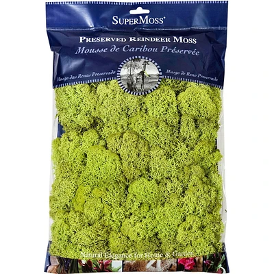 SuperMoss Preserved Reindeer Moss Decorative Filler - Chartreuse Green: Ideal for Terrariums, Crafts, Floral Arrangements