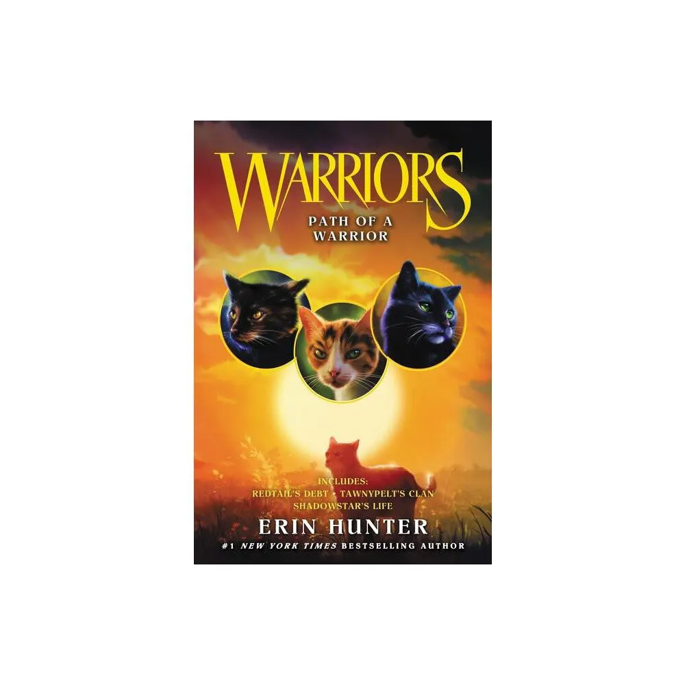 Warriors: Power Of Three Box Set: Volumes 1 To 6 - By Erin Hunter  (paperback) : Target