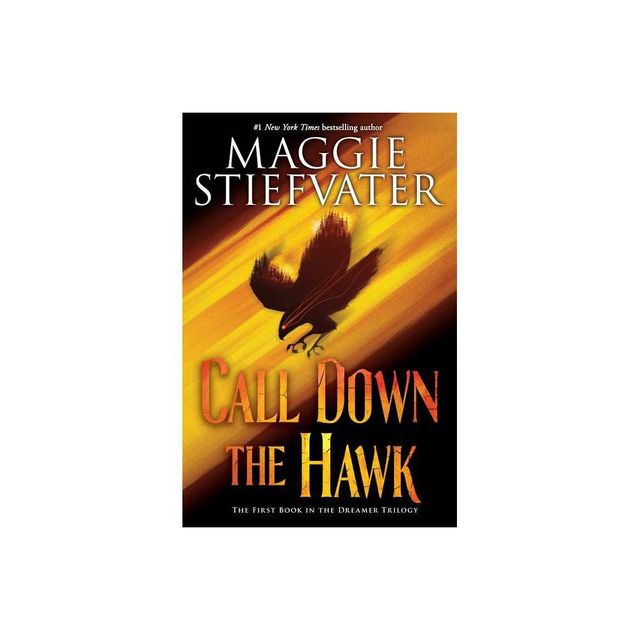 Call Down the Hawk (the Dreamer Trilogy, Book 1) - by Maggie Stiefvater (Hardcover)