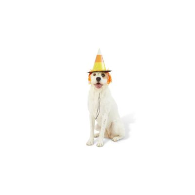 Halloween Candy Corn Witch Hat Dog Costume