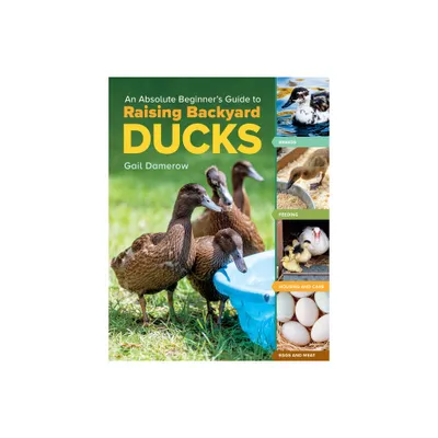 An Absolute Beginners Guide to Raising Backyard Ducks - by Gail Damerow (Paperback)