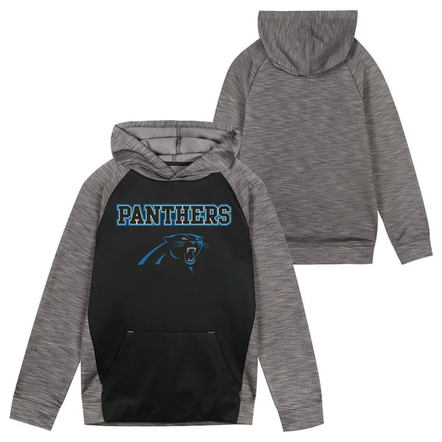 NFL Carolina Panthers Toddler Boys' Poly Fleece Hooded Sweatshirt - 3T