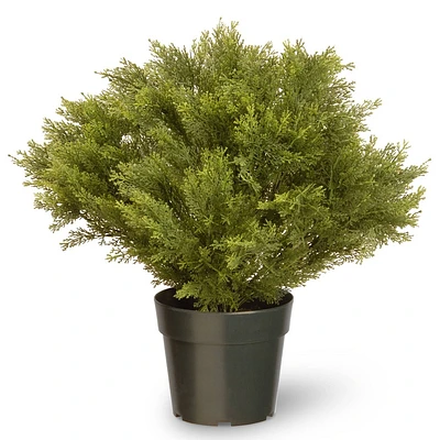 National Tree Company 28 Globe Juniper Artificial Tree: Faux Juniper in Pot, No Assembly, Indoor/Outdoor Use