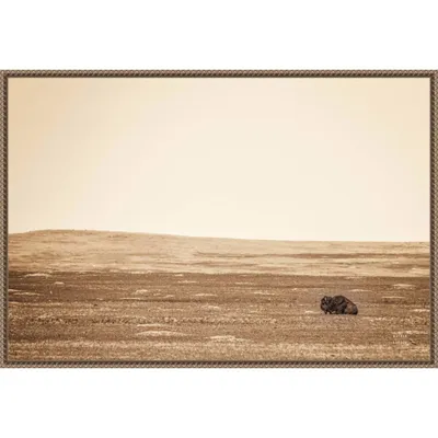 33x23 Badlands Bison Sepia by Nathan Larson Framed Canvas Wall Art Print Bronze - Amanti Art: Modern Style, Polystyrene Frame, Animal Theme