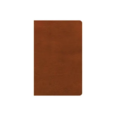 NASB Large Print Thinline Bible, Burnt Sienna Leathertouch - by Holman Bible Publishers (Leather Bound)