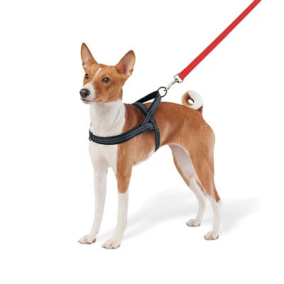 No Pull Comfort Dog Harness