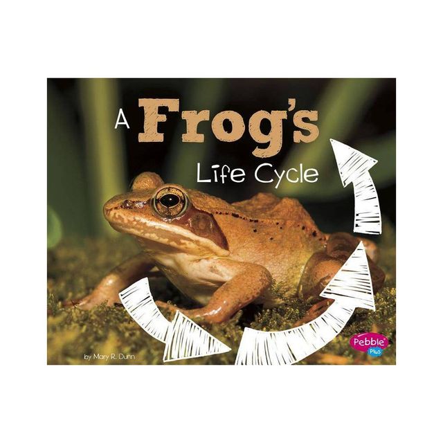 A Frogs Life Cycle - (Explore Life Cycles) by Mary R Dunn (Paperback)