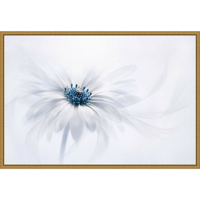 23 x 16 Serene Flower by Jacky Parker Framed Wall Canvas White - Amanti Art: Modern Botanical Art, Gold Frame, Sawtooth Back Mount