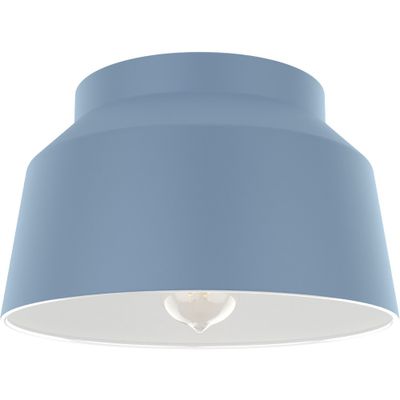 Hunter Fan 1-Light Cranbrook Pendant : Modern Flush Mount Ceiling Light, UL Listed, Metal Body