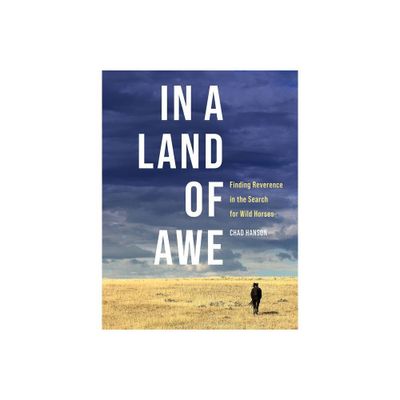 In a Land of Awe - by Chad Hanson (Hardcover)