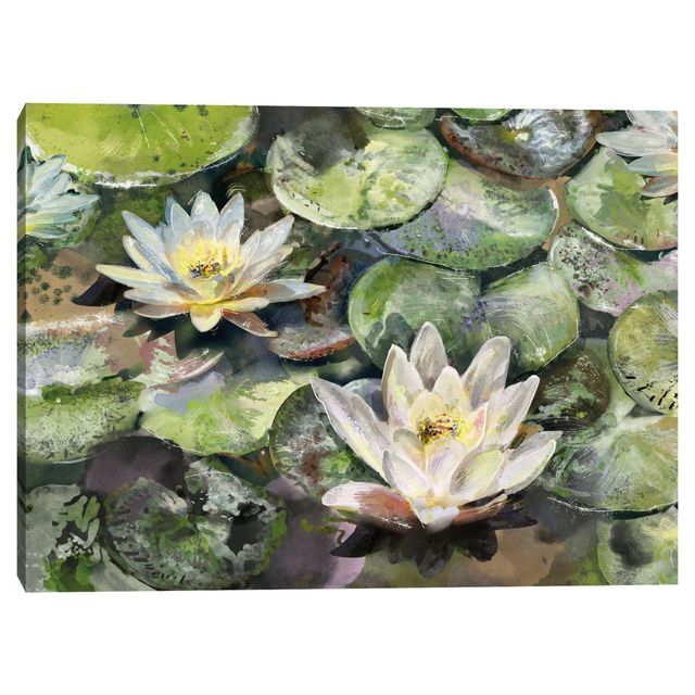 30x40 Lotus Blossoms by Studio Arts Unframed Wall Canvas - Masterpiece Art Gallery: Horizontal Botanical Artwork