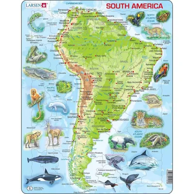 Larsen Puzzles South America Map with Animals Kids Jigsaw Puzzle - 65pc