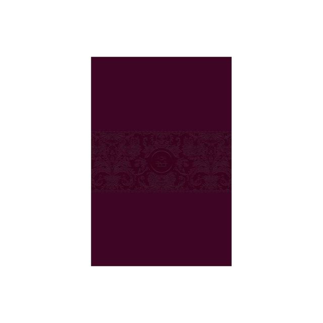 The Passion Translation New Testament (2020 Edition) Large Print Burgundy - by Brian Simmons (Leather Bound)