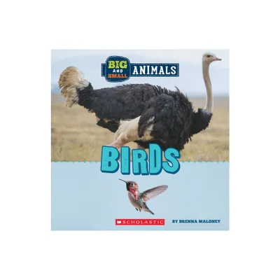 Birds (Wild World: Big and Small Animals) - by Brenna Maloney (Hardcover)