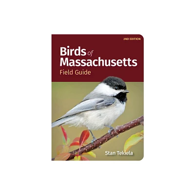 Birds of Massachusetts Field Guide - (Bird Identification Guides) 2nd Edition by Stan Tekiela (Paperback)