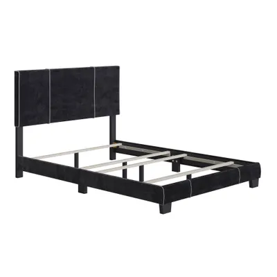 Queen Lucena Velvet Upholstered Bed Frame Black - Boyd Sleep Eco Dream: Contemporary Style, Soft Velour Fabric, Solid Wood Legs, Easy Assembly