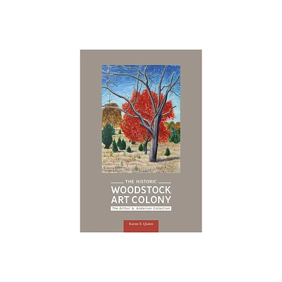 The Historic Woodstock Art Colony - (Excelsior Editions) by Karen E Quinn (Paperback)