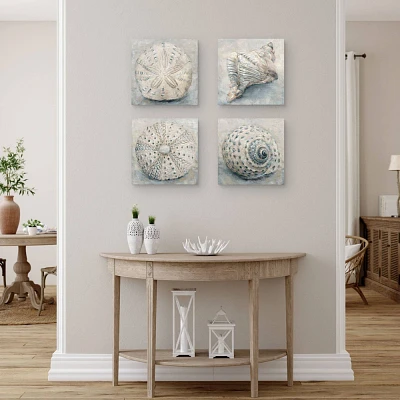 Masterpiece Art Gallery 12x12 Artisan Shells I, II ,III and IV Wall Art