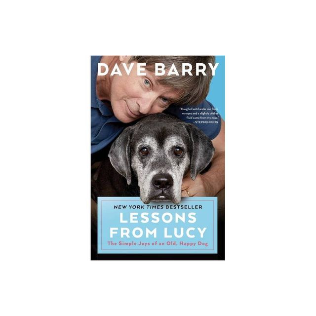 Lessons from Lucy - by Dave Barry (Paperback)