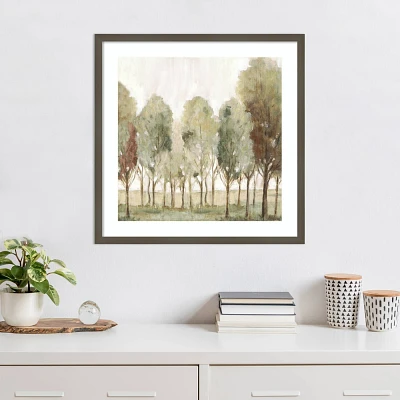 Amanti Art 25x25 Silent Fall Trees I by Eva Watts Wood Framed Wall Art Print: Modern Lithograph, Nature Scenery