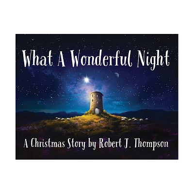 What a Wonderful Night - by Robert J Thompson (Paperback)