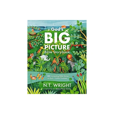 Gods Big Picture Bible Storybook - (Gods Big Picture Bible Stories) by N T Wright (Hardcover)