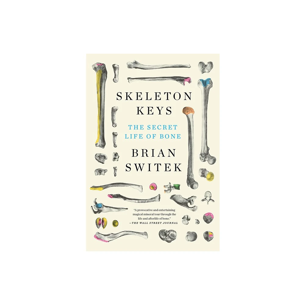 Skeleton Keys - (Paperback)