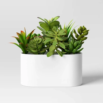 Succulent Arrangement in Long White Pot - Room Essentials