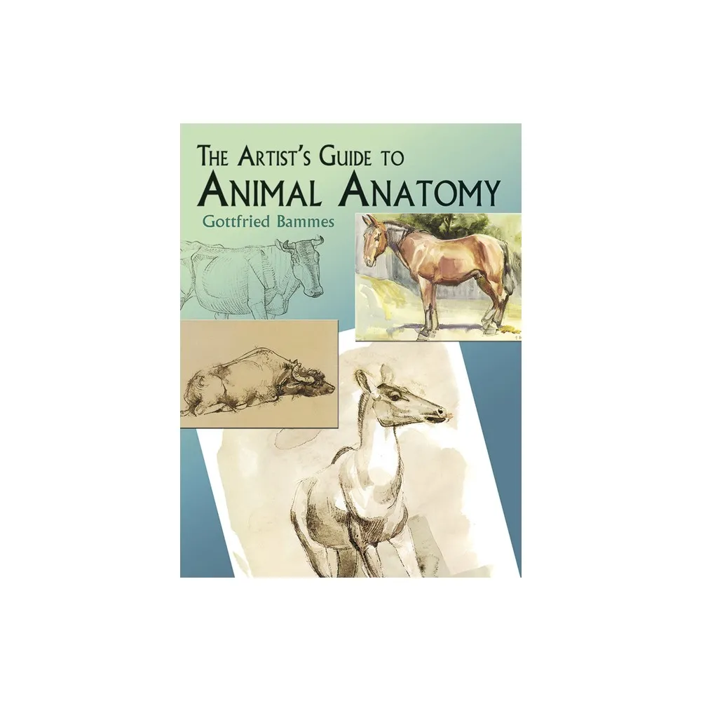 TARGET The Artists Guide to Animal Anatomy - (Dover Anatomy for Artists) by  Gottfried Bammes (Paperback) | Connecticut Post Mall