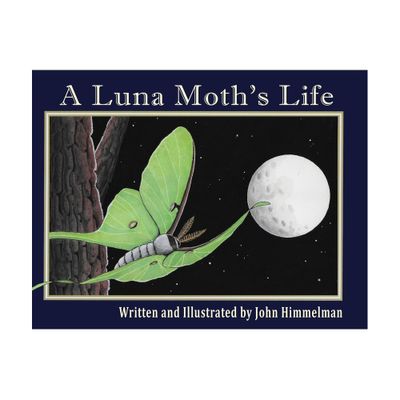 A Luna Moths Life - (Nature Upclose) Large Print by John Himmelman (Paperback)