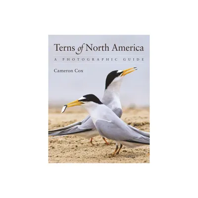 Terns of North America - by Cameron Cox (Paperback)