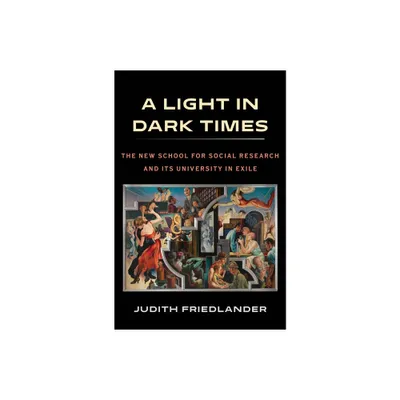 A Light in Dark Times - by Judith Friedlander (Hardcover)