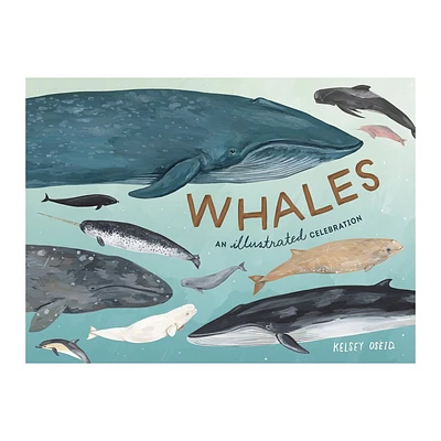 Whales - by Kelsey Oseid (Hardcover)