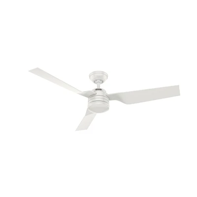 Hunter Fan 52 Cabo Frio Damp Rated Ceiling Fan and Wall Control