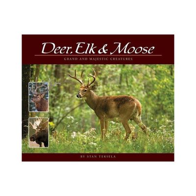 Deer, Elk & Moose - (Wildlife Appreciation) by Stan Tekiela (Paperback)