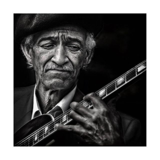 35 x 35 The Guitarist by Piet Flour - Trademark Fine Art: Canvas Wall Art, Digital People Subject, Unframed