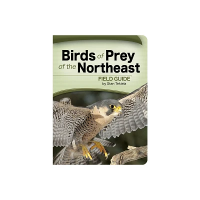 Birds of Prey of the Northeast Field Guide - (Bird Identification Guides) by Stan Tekiela (Paperback)