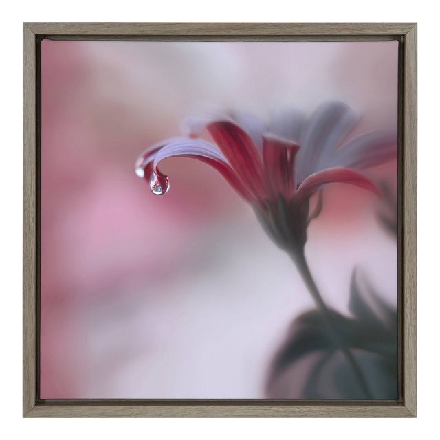 22 x 22 Invisible Touch Framed Canvas Wall Art - Amanti Art: Juliana Nan Botanical Photograph, Modern Decor Style