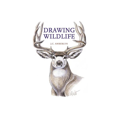 Drawing Wildlife - by J C Amberlyn (Paperback)