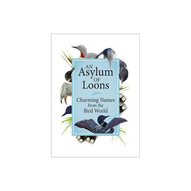 An Asylum of Loons - (Hardcover)