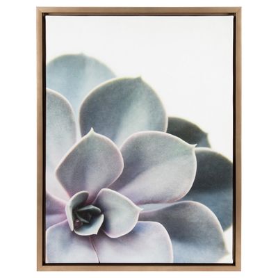 Succulents Framed Kids Canvas Art Gold (24x18) - Uniek: Botanical Wall Art, Vertical Photograph, Sawtooth Mount