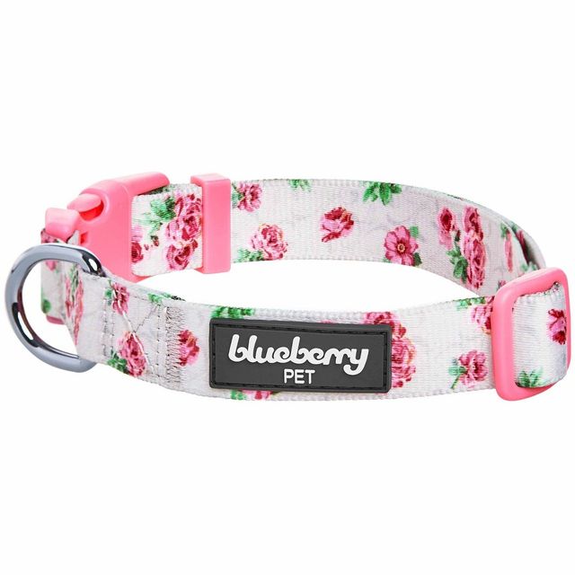 Blueberry Pet pring cent Inspired Rose Blossom Floral Print Dog Collar -  - Gray