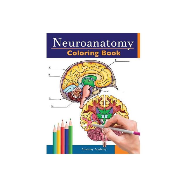 Neuroanatomy Coloring Book - by Anatomy Academy (Paperback)