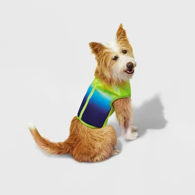 Cooling Dog Vest