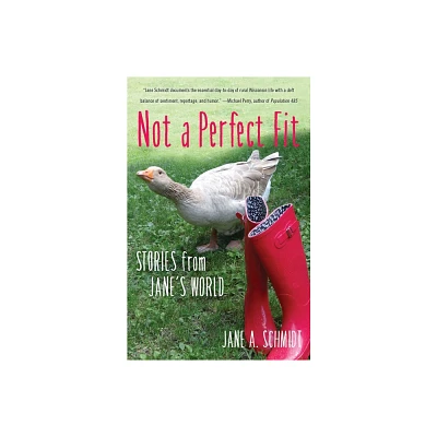 Not a Perfect Fit - by Jane A Schmidt (Paperback)