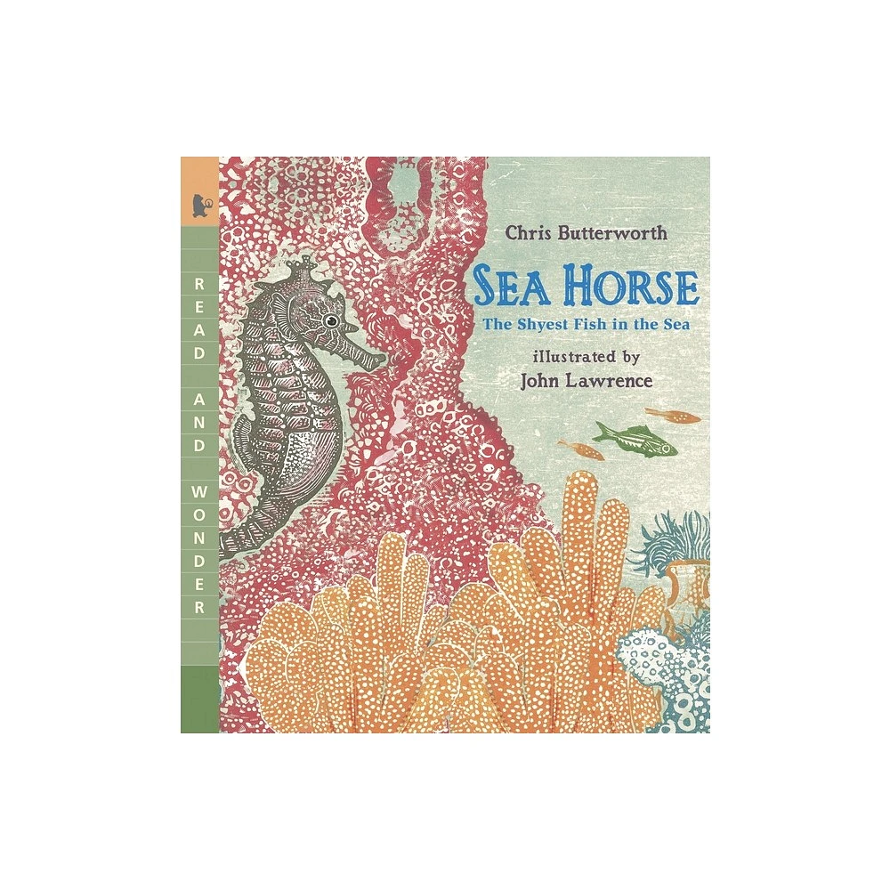 Sea Horse: The Shyest Fish in the Sea - (Read and Wonder) by Chris Butterworth (Paperback)