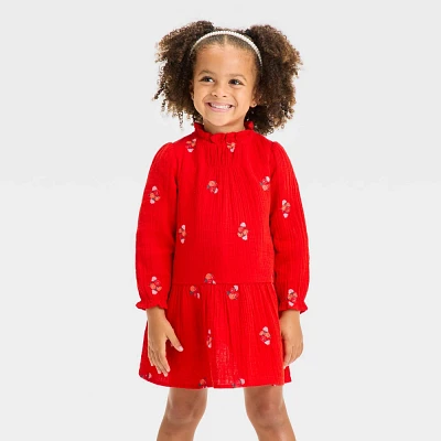 Toddler Girls Long Sleeve Floral Embroidered Printed Dress