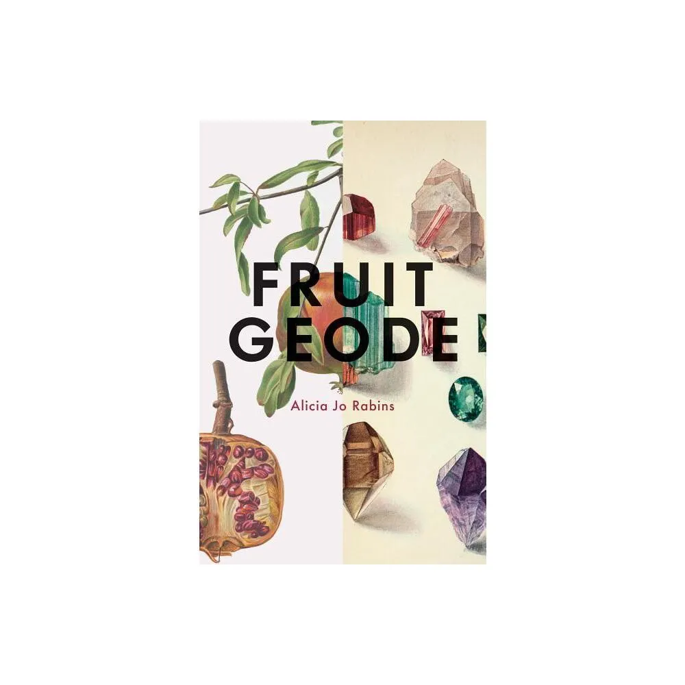 Fruit Geode - by Alicia Jo Rabins (Paperback)