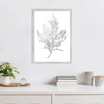 Amanti Art Gray Algae III by Jennifer Goldberger Wood Framed Wall Art Print