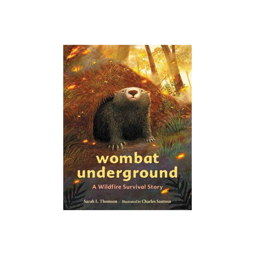 Wombat Undergroud Wombat Undergroud